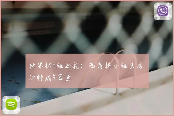 世界杯H组巡礼：西乌拼小组头名 沙特成X因素