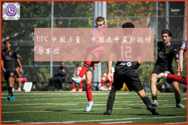 UFC 中国力量:中国选手最新战绩与赛程