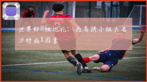 世界杯H组巡礼：西乌拼小组头名 沙特成X因素