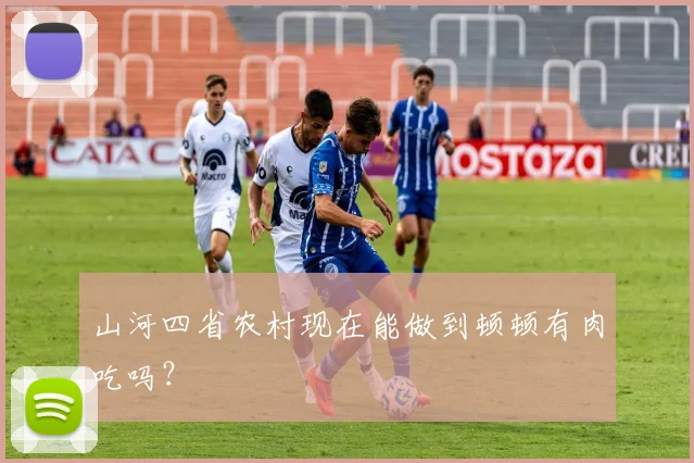 山河四省农村现在能做到顿顿有肉吃吗？