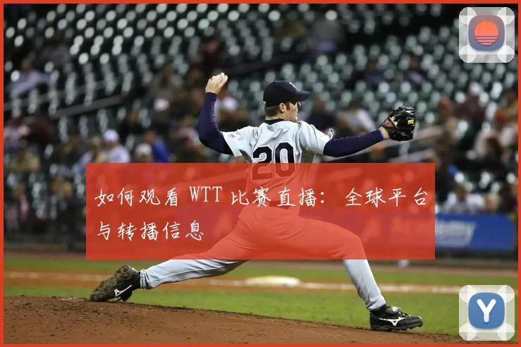 如何观看 WTT 比赛直播：全球平台与转播信息