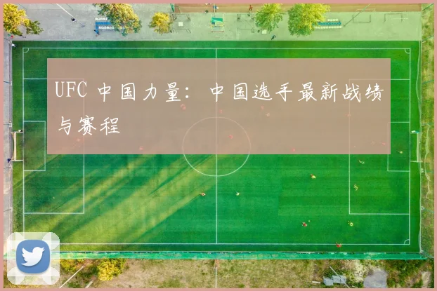 UFC 中国力量:中国选手最新战绩与赛程
