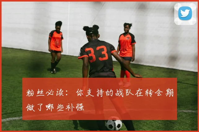 粉丝必读：你支持的战队在转会期做了哪些补强
