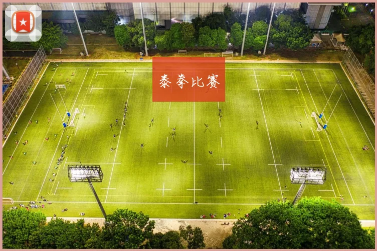 泰拳比赛