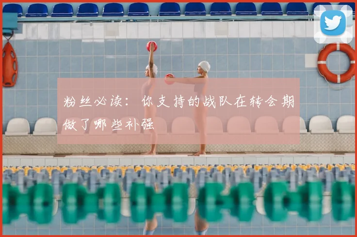 粉丝必读：你支持的战队在转会期做了哪些补强